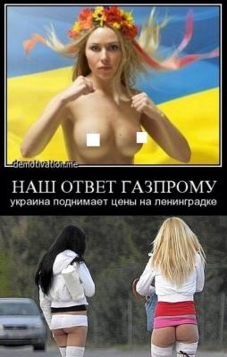 Прикрепленное изображение: 12079505_475033152701243_3107354831111923286_n.jpg